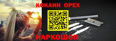 шишки Будённовск