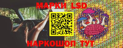шишки Будённовск