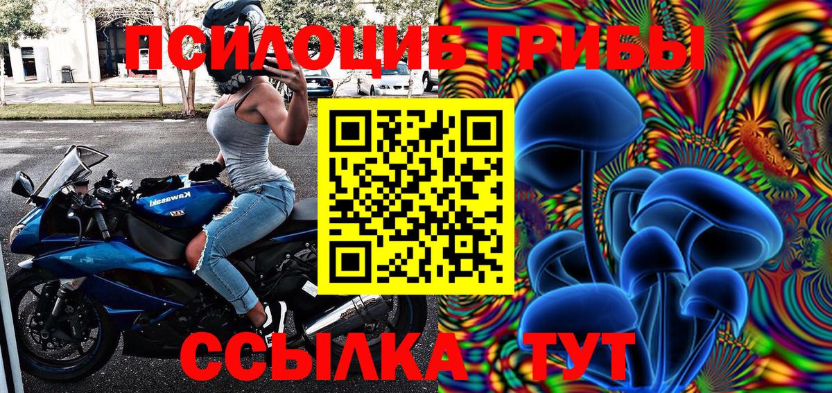 Псилоцибиновые грибы Cubensis Волоколамск